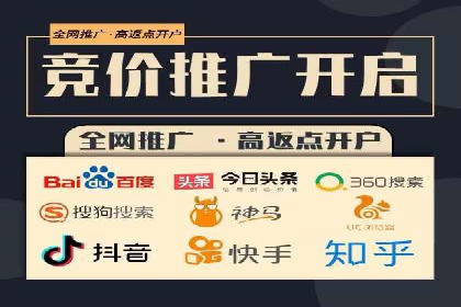成功SEM服务案例分析报告