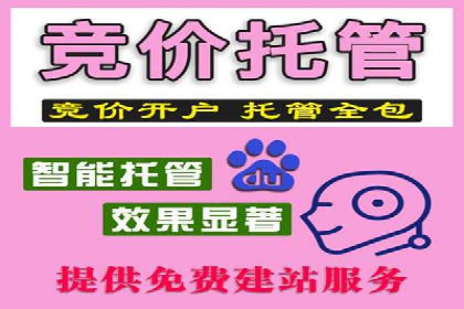 成功运用SEM技术提升网站流量的案例研究